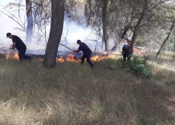 FOTO/ Përfshihet nga flakët pylli i Peshtanit