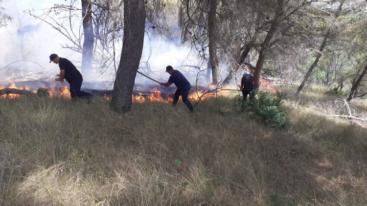 FOTO/ Përfshihet nga flakët pylli i Peshtanit