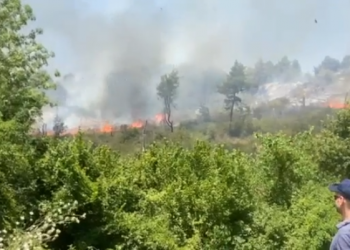 Del jashtë kontrollit zjarri në pyllin me pisha e dushk në Peshtan