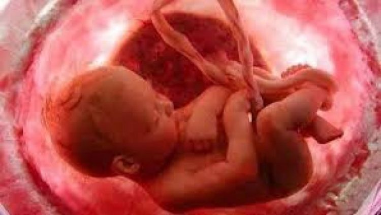 Pse foshnja qan në barkun e nënës, arsyeja do t’ju befasojë