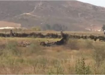 Tragjedi në LA, avioni privat rrëzohet duke i marrë jetën 6 personave
