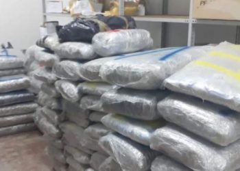 Tentuan të trafikonin 1 ton kanabis, SPAK çon për gjykim 4 skafistët