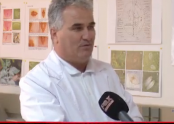 A janë të rrezikshëm karkalecat? Përgjigjen ekspertët