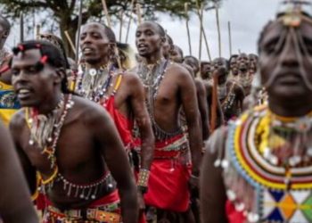 U vodhën ‘thesarin’, Universiteti i Oksfordit dëmshpërblen me 98 lopë fisin afrikan