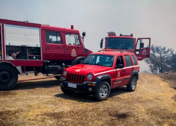 Situatë kritike nga zjarret në Korfuz, urdhërohen më shumë evakuime
