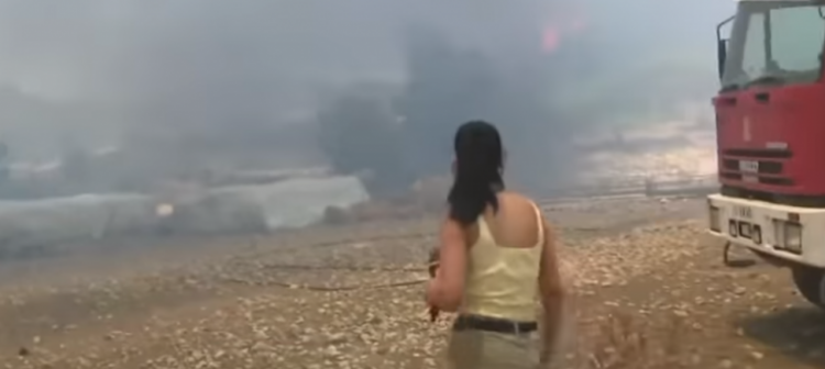 “Ikni ikni ikni”, alarmi nga zjarret në Greqi/ Flakët shkrumbojnë …