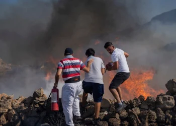 Zjarrfikësit luftojnë me flakët në Greqi, digjen ferma dhe fabrika
