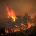 Flakët jashtë kontrollit në Rodos, evakuuohen 30 mijë persona