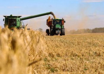 Turqia shton presionin ndaj Rusisë për “grurin”
