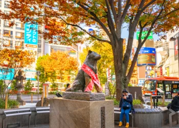 Hachiko, 100 vite nga lindja e qenit më besnik në botë