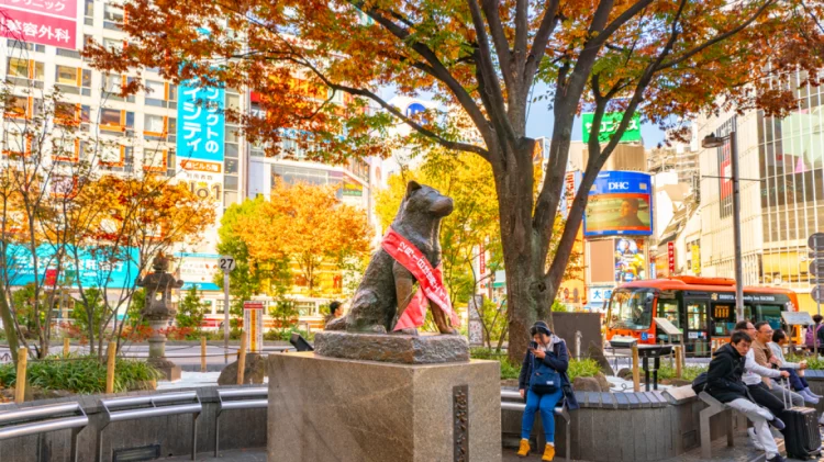 Hachiko, 100 vite nga lindja e qenit më besnik në botë