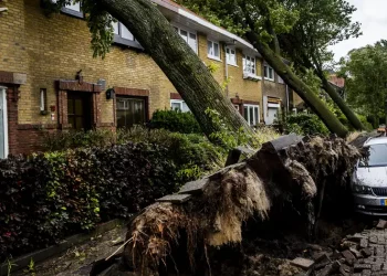 Stuhia e rrallë sjell vdekje dhe kaos në trafik