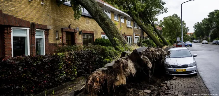 Stuhia e rrallë sjell vdekje dhe kaos në trafik