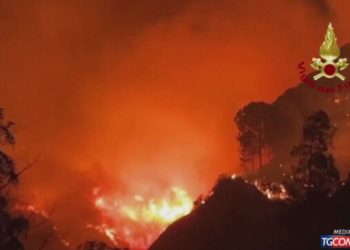 Beteja me zjarret vazhdon në Itali, flakët prekin Jugun