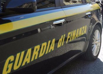 Mashtrimi “Cash dog” i rrjetit të bizneseve/ Si i përfituan 160 milionë euro?