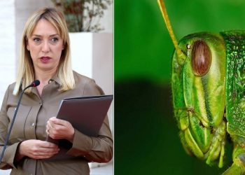 Kush e dëmton bujqësinë më shumë, Krifca apo karkaleci?!