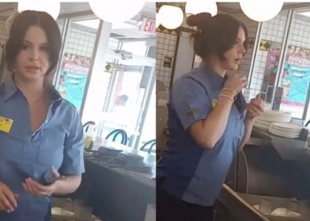 Habit Lana del Rey! Ylli botëror lë muzikën për t’u bërë kamariere