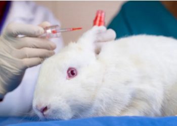 Kanadaja ndalon zyrtarisht testimin e produkteve kozmetike tek kafshët