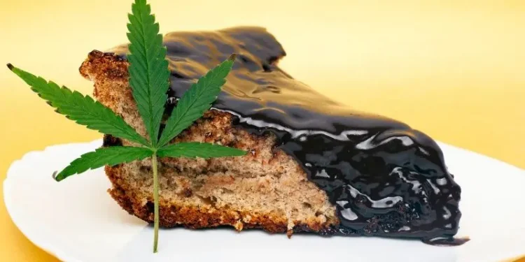 Hëngrën tortë me marijuanë, studentët në spital: Shohim fantazma!