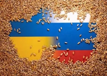 Kriza e grurit kërcënon, skadon marrëveshja e Detit të Zi