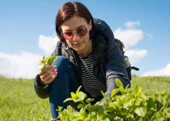 Bari që forcon mendjen dhe kujtesën, të gjithë e kemi në kuzhinë