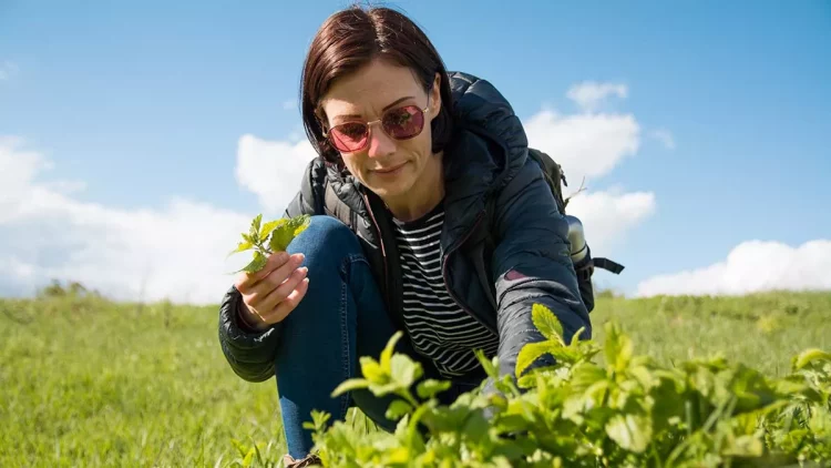 Bari që forcon mendjen dhe kujtesën, të gjithë e kemi në kuzhinë