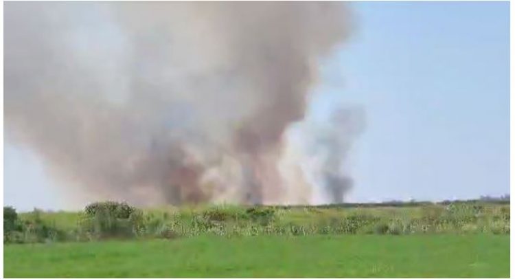 Digjen 10 hektarë tokë të mbjella me grurë në Fier