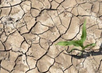 BE dhe OKB: Korriku, muaji më i nxehtë i regjistruar ndonjëherë