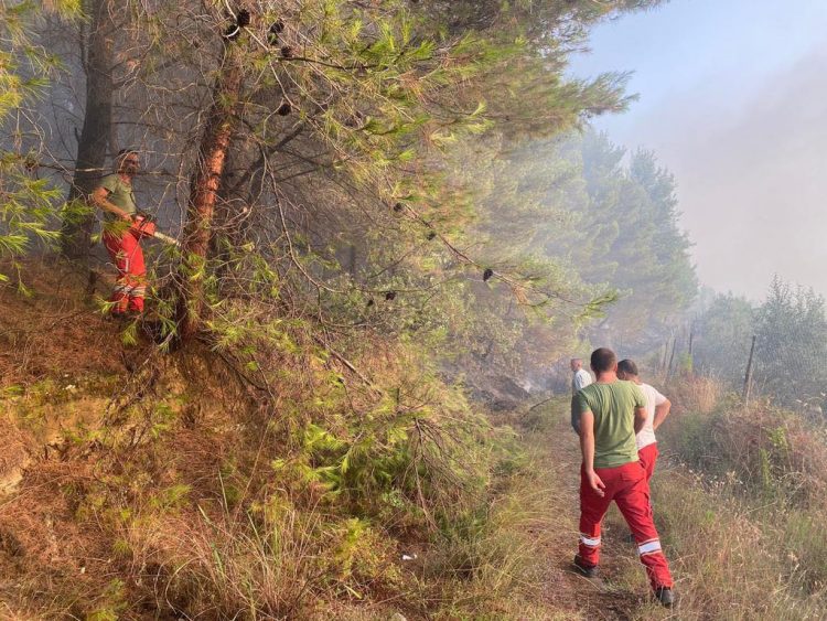 Situata me zjarret në vend, reagon Peleshi: Sot janë 5 vatra aktive