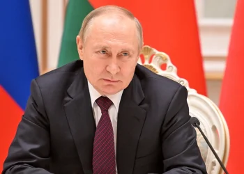 Rusia do furnizojë me grurë falas, gjashtë vende afrikane