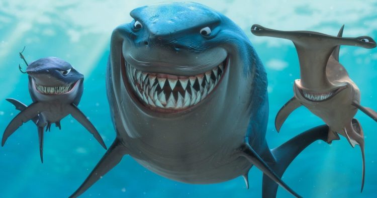 Gjendeni përballë peshkaqenit? Ja çfarë nuk duhet të bëni