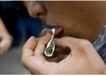 Në vështirësi të mëdha financiare, shqiptari kapet duke shitur drogë në Belgjikë