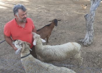 Ngjarje e rëndë, var veten shqiptari në rajonin e policisë në Greqi