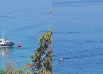 Si macja me miun/ Sapo policia largohet, skafet shfaqen në breg…