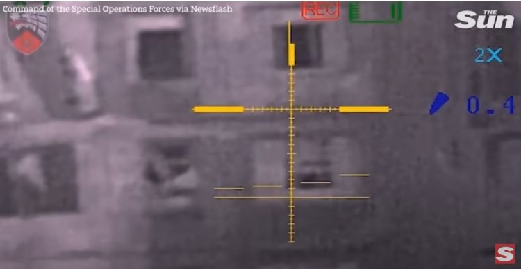 Snajperistët ukrainas ekzekutojnë rusët (VIDEO)