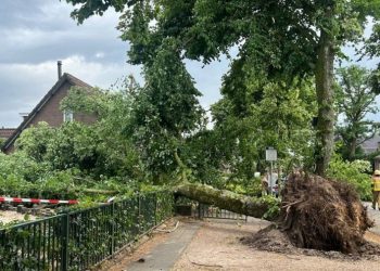 Stuhi të fuqishme godasin Holandën, anulohen fluturimet