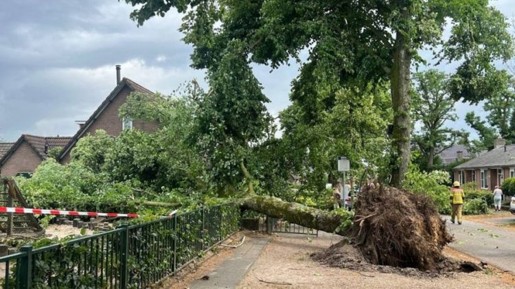 Stuhi të fuqishme godasin Holandën, anulohen fluturimet