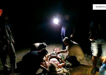 Theu këmbën dhe krahun, policia i vjen në ndihmë turistes gjermane