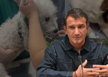 Veliaj vret qentë endacak, i lë pa ujë e ushqim në strehëz