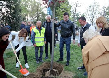 KLSH rrëzon Veliajn për Pyllin Orbital: Tirana s’ka vend për të mbjellë pemë