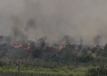 Zjarri në Kraps, digjen dy banesë/ Ndërhyrje nga ajri kundër flakëve