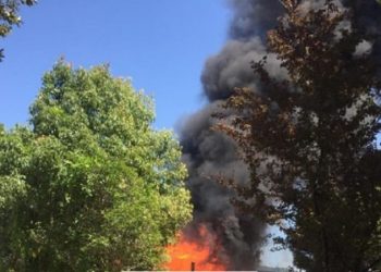 I vuri flakën shkurreve e rrethon zjarri, pëson djegie në trup