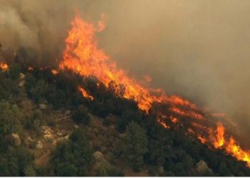 Zjarr në kodrat e Kallmit në Durrës