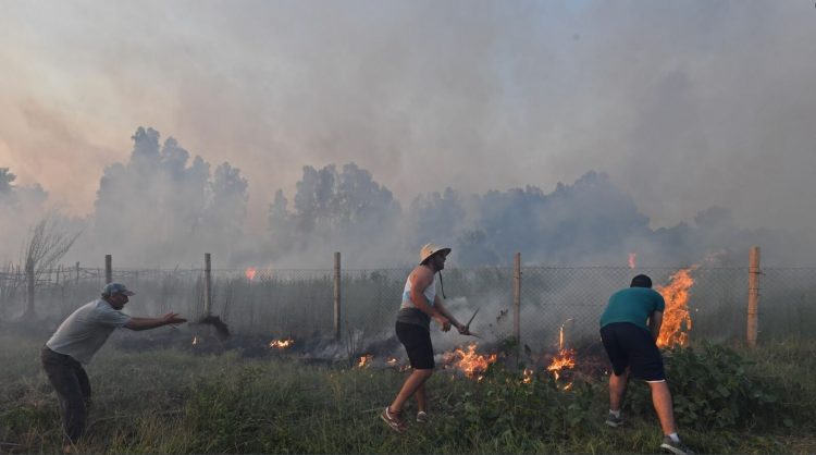 Të paktën 25 persona humbën jetën nga zjarret në Algjeri