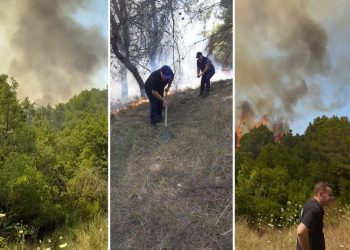 U dogjën 30 Ha drurë, fiket zjarri në masivin pyjor të Peshtanit