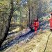 Zjarret shkrumbuan mbi 220 ha pyje, nis verifikimi i dëmeve në Fier