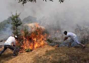 Anticikloni po “djeg” Shqipërinë! Ja qytetet që rrezikohen nga zjarri