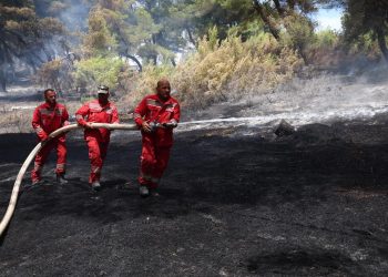Djegia e mbetjeve në Vlorë, Peleshi: Po mbahet nën monitorim