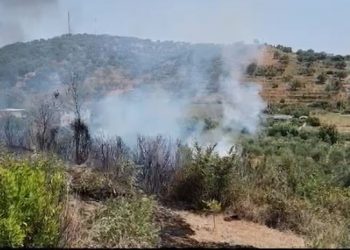 Zjarri përhapet në një fshat të Fierit, rrezikohen banesat