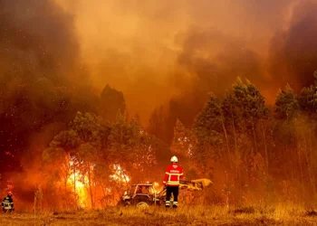 Vala e tretë e të nxehtit, Portugalia lufton me zjarret